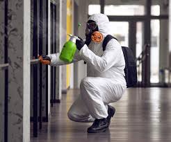 Why You Should Choose Our Mold Remediation Services in Franklin Furnace, OH